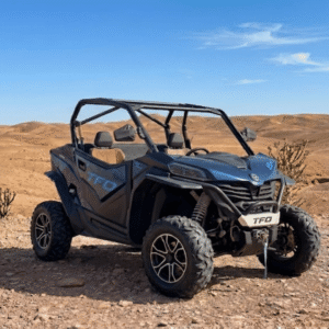 BUGGY