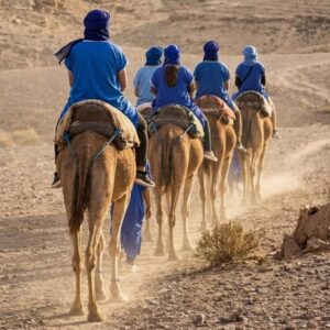 Camel Rider